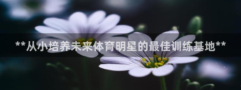 富联官方网站入口下载：**从小培养未来体育明星的最佳