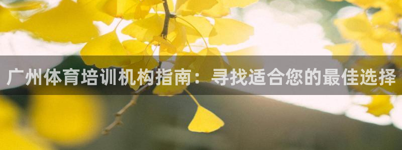 富联平台开户条件：广州体育培训机构指南：寻找适合您的