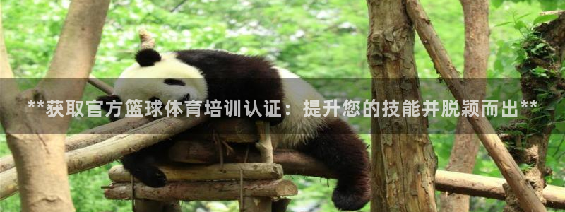 富联申购是什么股票板块：**获取官方篮球体育培训认证