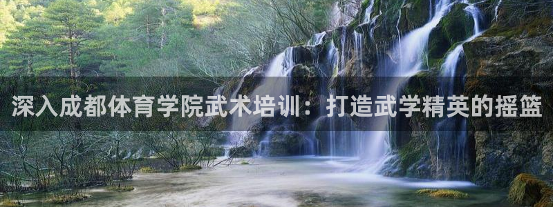 富联平台事 411O31 富联：深入成都体育学院武术