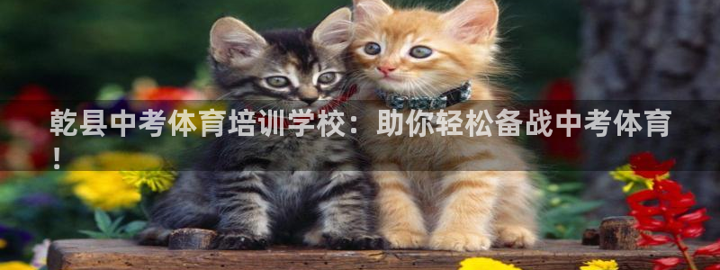 富联娱乐靠 58534I 富联：乾县中考体育培训学校