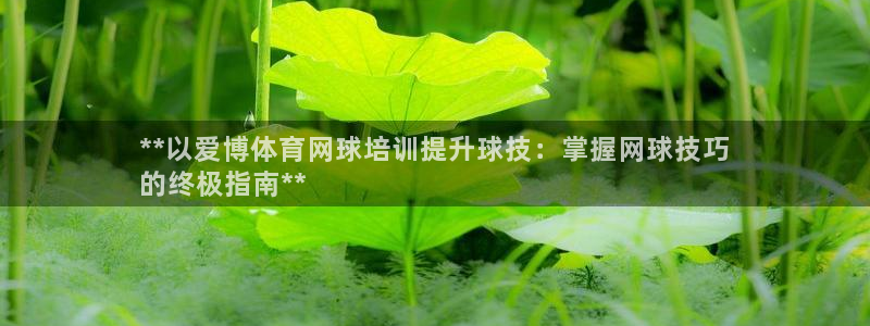 富联娱乐讲7O777：**以爱博体育网球培训提升球技