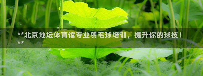 富联娱乐股东：**北京地坛体育馆专业羽毛球培训，提升