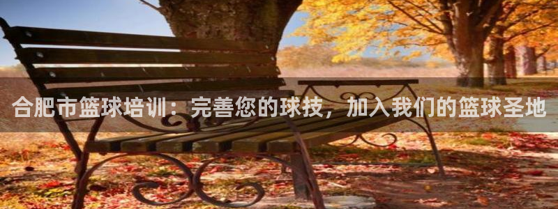 富联娱乐官方网站下载安装：合肥市篮球培训：完善您的球