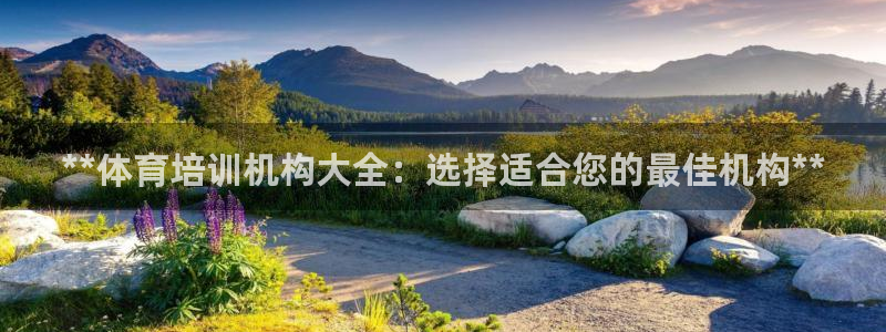 富联申购中签时间：**体育培训机构大全：选择适合您的