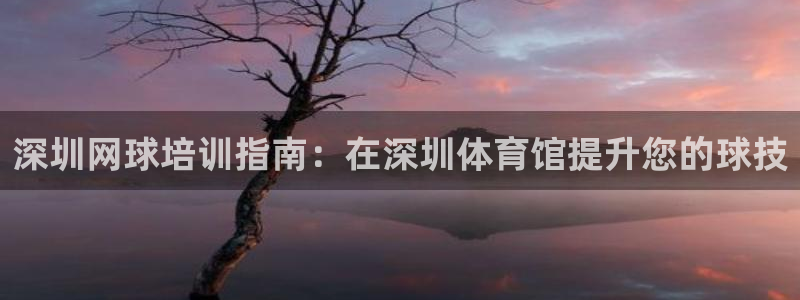 富联娱乐心 585341 娱乐：深圳网球培训指南：在