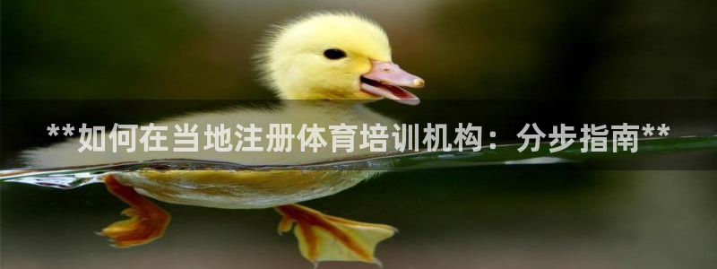 富联平台某7O777：**如何在当地注册体育培训机构