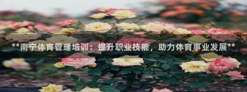 富联平台客 37oo735：**南宁体育管理培训：提