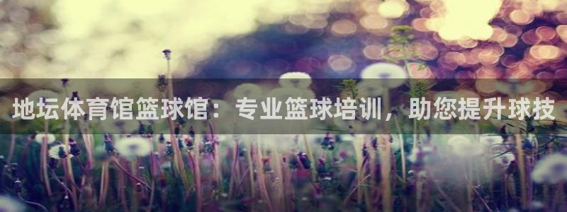 富联娱乐在线注册链接是什么意思：地坛体育馆篮球馆：专