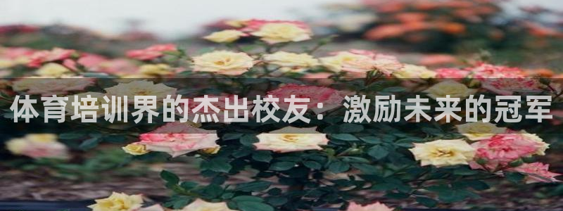 富联平台挂机：体育培训界的杰出校友：激励未来的冠军