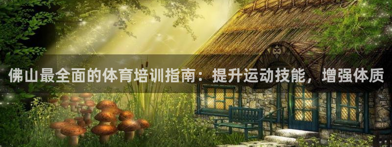 富联平台挂机：佛山最全面的体育培训指南：提升运动技能