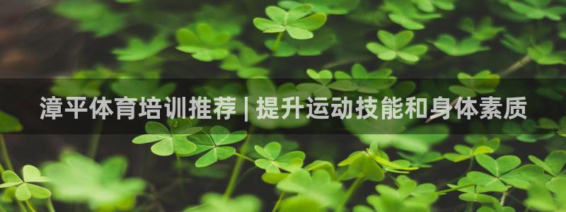富联申购：漳平体育培训推荐 | 提升运动技能和身体素