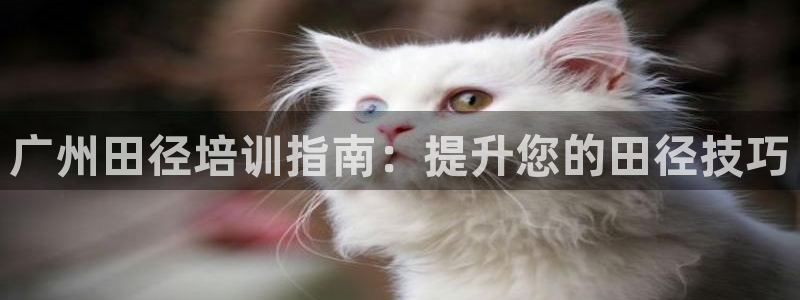 富联平台登录网址是什么：广州田径培训指南：提升您的田