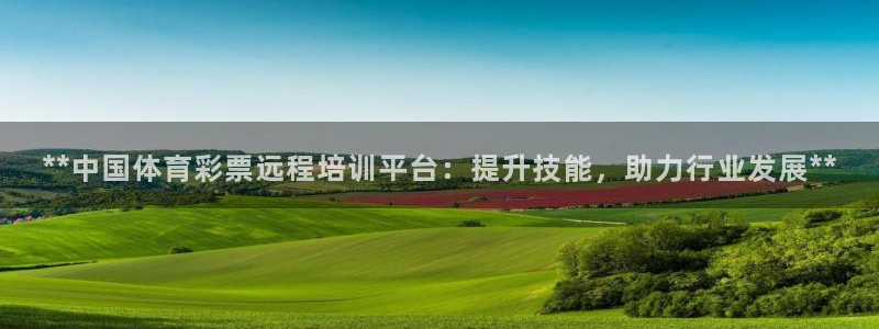 富联娱乐玩法机制是什么：**中国体育彩票远程培训平台