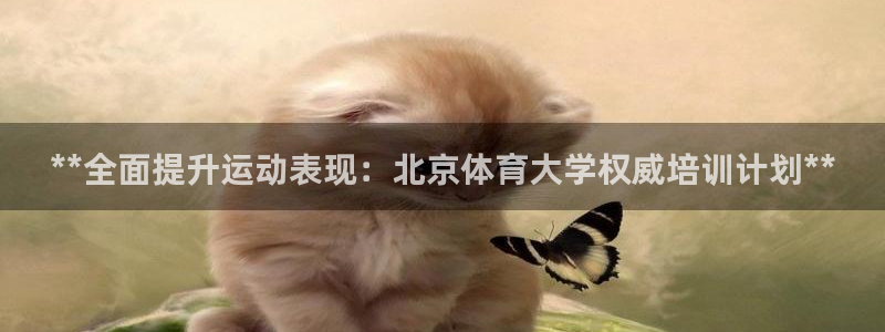 深圳富联智能制造产业创新中心：**全面提升运动表现：