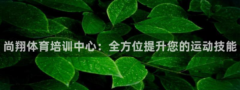 富联图文：尚翔体育培训中心：全方位提升您的运动技能