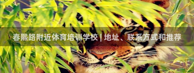 富联官网注册流程图片：春熙路附近体育培训学校 | 地