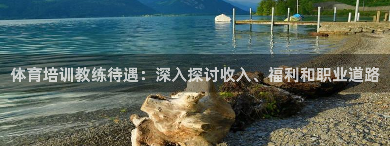 富联娱乐会员有什么用：体育培训教练待遇：深入探讨收入