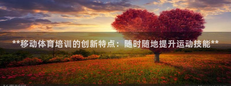 富联平台安装：**移动体育培训的创新特点：随时随地提