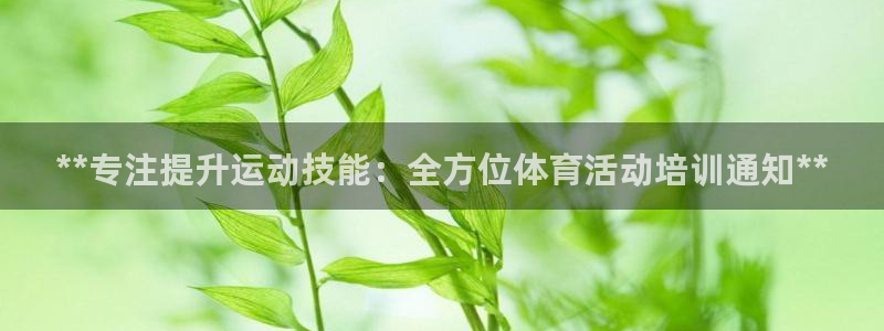 富联娱乐股东名单：**专注提升运动技能：全方位体育活