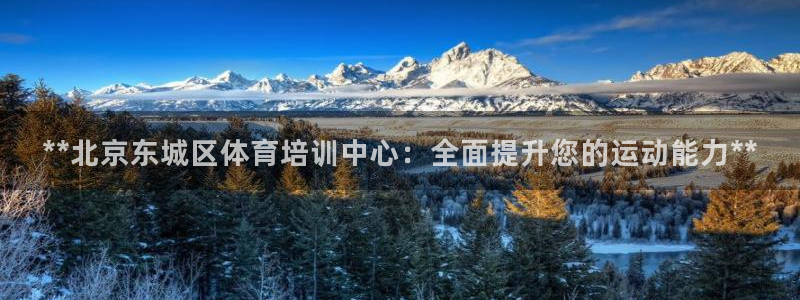 富联图文：**北京东城区体育培训中心：全面提升您的运
