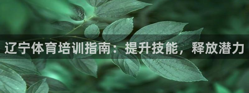 富联平台官网登录入口网址：辽宁体育培训指南：提升技能