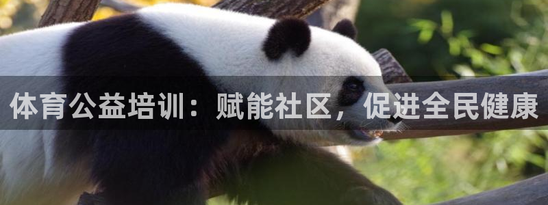 富联娱乐官方网站首页入口：体育公益培训：赋能社区，促