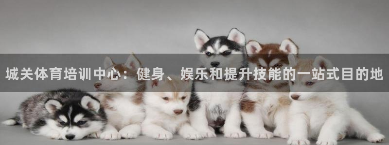 富联是什么股票板块：城关体育培训中心：健身、娱乐和提