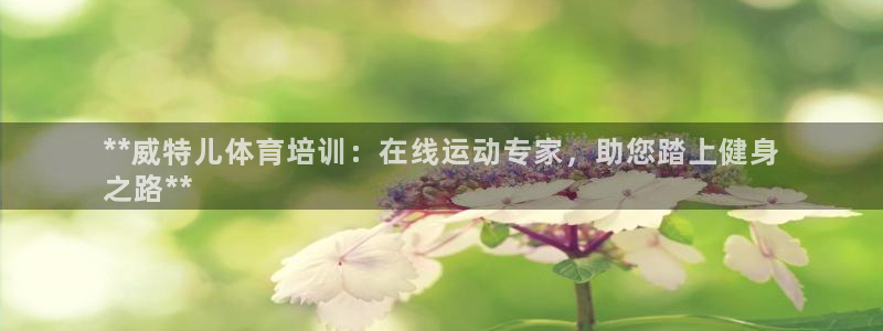 富联智能工坊：**威特儿体育培训：在线运动专家，助您