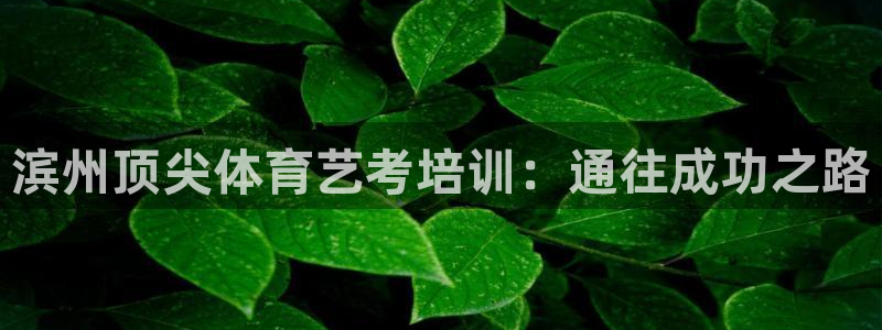 富联官方网站入口下载安装：滨州顶尖体育艺考培训：通往