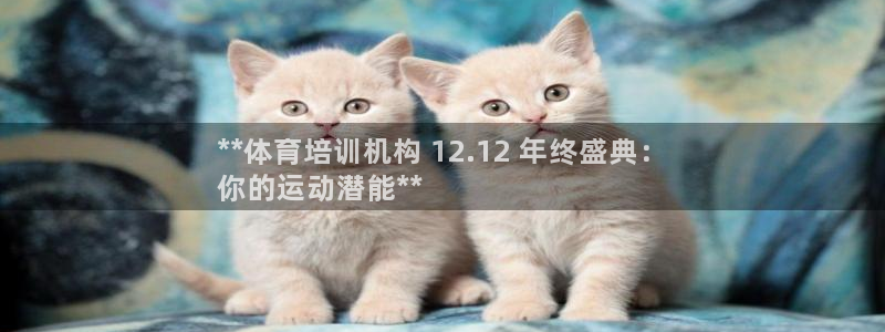 富联娱乐优 411o31 富联：**体育培训机构 1