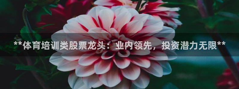 富联平台是什么：**体育培训类股票龙头：业内领先，投
