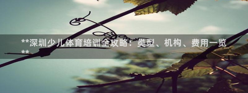 富联娱乐玩法机制是什么：**深圳少儿体育培训全攻略：