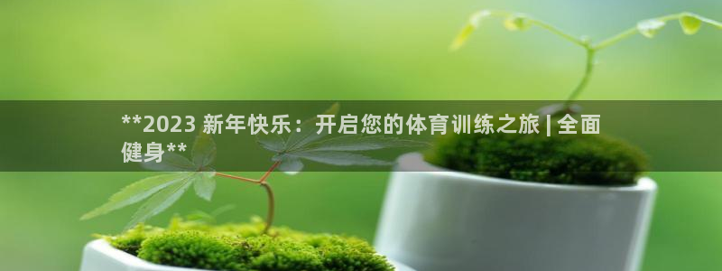 富联娱乐总代理：**2023 新年快乐：开启您的体育