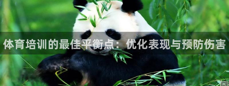 富联官方网站入口网址是什么：体育培训的最佳平衡点：优