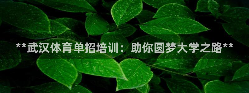 富联娱乐平台开户流程及时间：**武汉体育单招培训：助