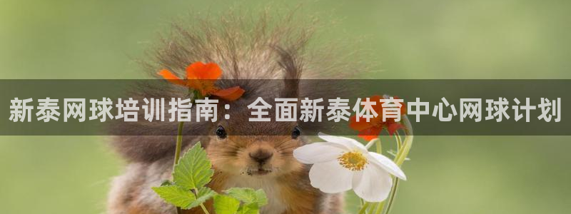 富联娱乐会员怎么取消：新泰网球培训指南：全面新泰体育