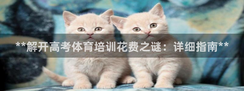 富联官网登录网址：**解开高考体育培训花费之谜：详细