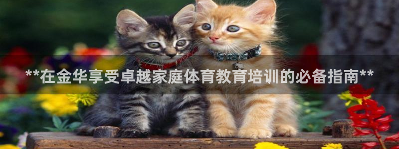 富联娱乐平台开户要钱吗：**在金华享受卓越家庭体育教