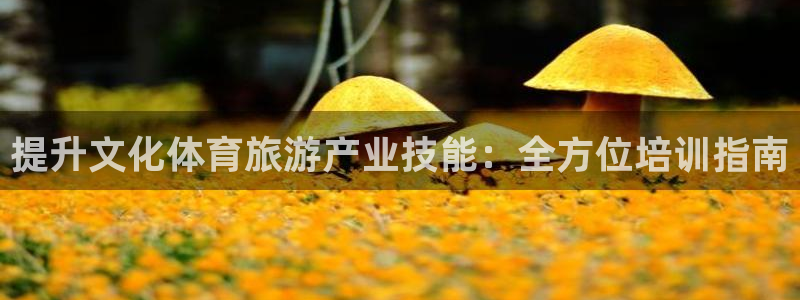 富联娱乐会员怎么取消：提升文化体育旅游产业技能：全方