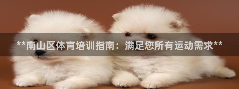 富联平台挂机：**南山区体育培训指南：满足您所有运动