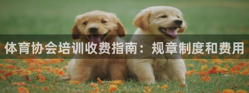 富联娱乐是什么时候开的店：体育协会培训收费指南：规章制度和费