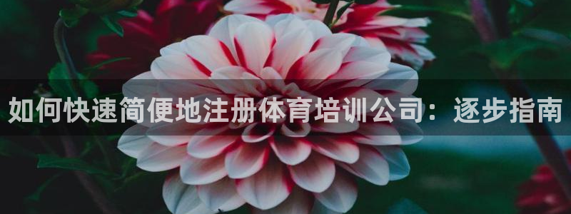 富联科技上市了吗知乎：如何快速简便地注册体育培训公司：逐步指