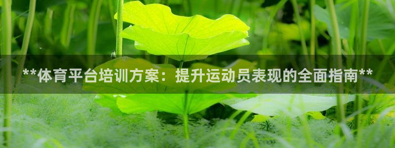 富联平台木 5o69I7：**体育平台培训方案：提升