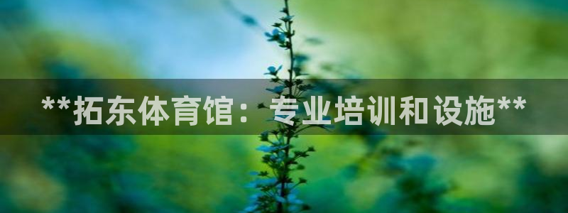 富联网是什么意思：**拓东体育馆：专业培训和设施**