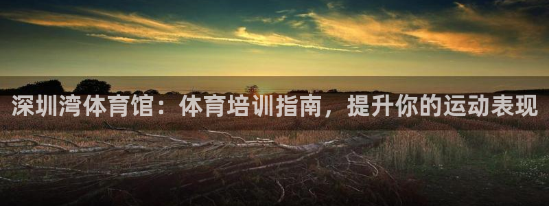 富联平台七7O777：深圳湾体育馆：体育培训指南，提