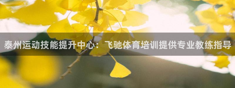 富联平台是什么平台：泰州运动技能提升中心：飞驰体育培