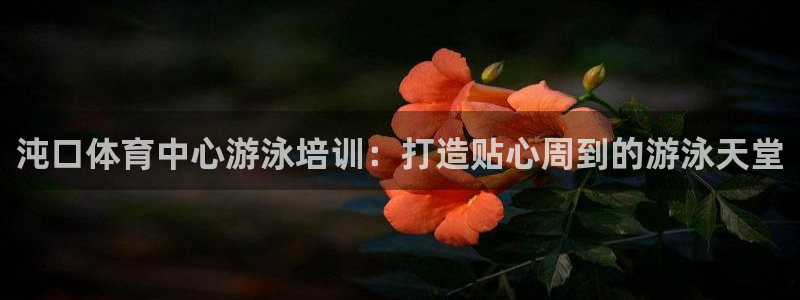 富联官网乙6.7.5.1.3.8：沌口体育中心游泳培