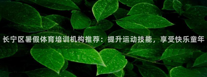 富联平台地址查询：长宁区暑假体育培训机构推荐：提升运