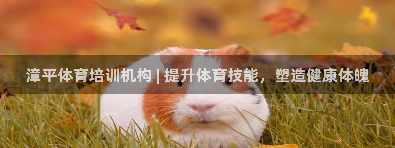 富联娱乐代理怎么做：漳平体育培训机构 | 提升体育技